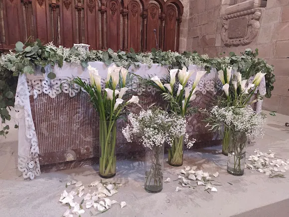 Floristería Borgoño - Graus