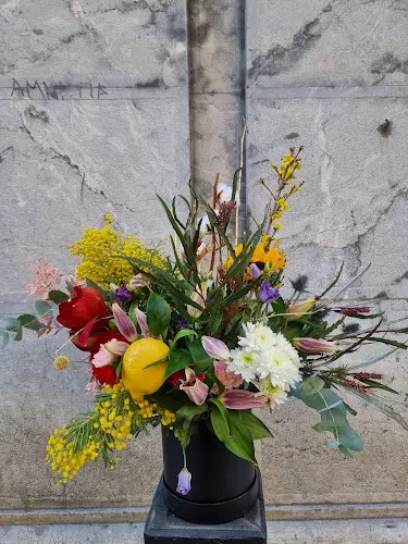 PANAME floristeria, San Sebastian/ Donostia, Pais vasco, loradenda
