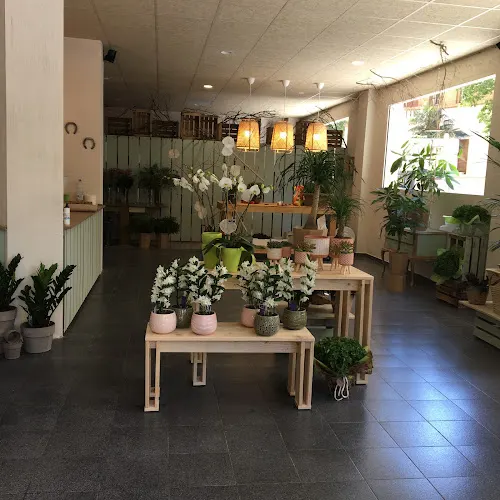 Cactus Taller Floral