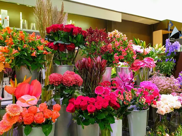 Floristería MIMIKU Donostia