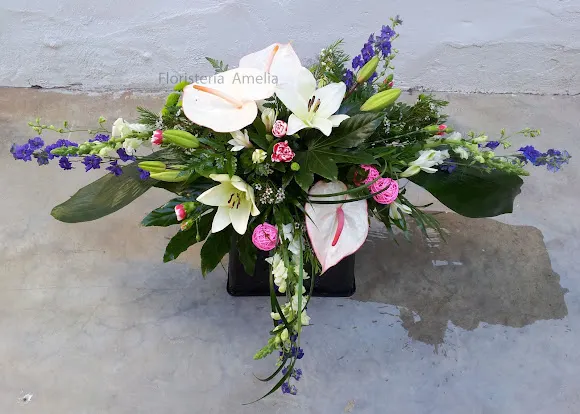 Floristería Amelia - Tamarite de Litera
