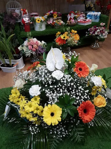 D-Flowers - Floristería en Fraga