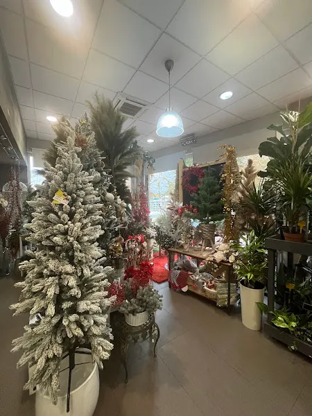 FLORISTERIA BONSAI