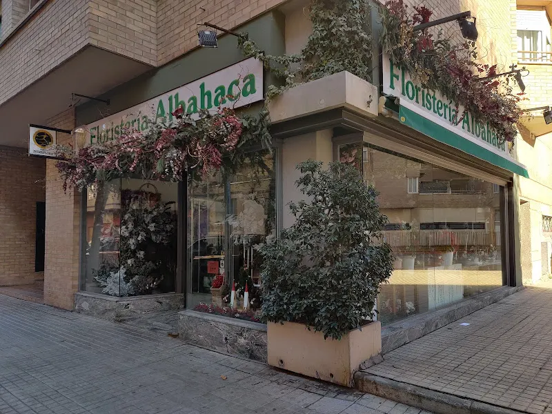 FLORISTERIA ALBAHACA - Huesca