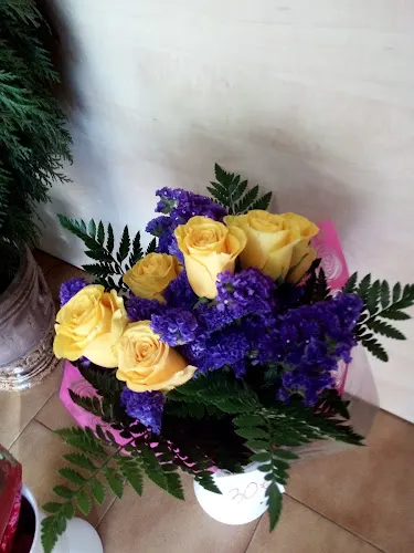 Floristería Jungla