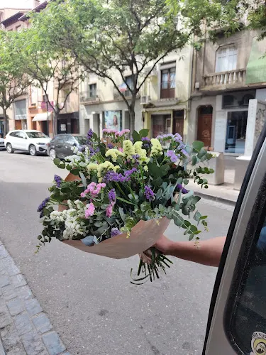 Flores Gloria - Barbastro