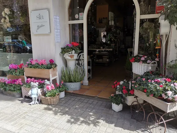 Floristería Azahar - Barbastro