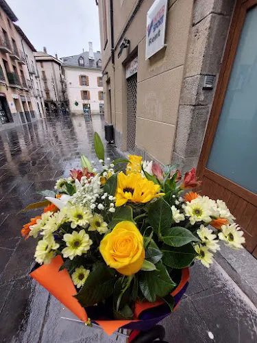 Floristería El Cisne - Jaca