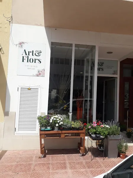 Art i Flors - Sant Lluís