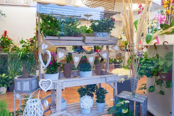 S'Estel Floristería - Alaior