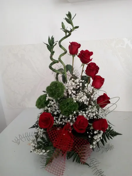 Floristeria Lloseta Verd