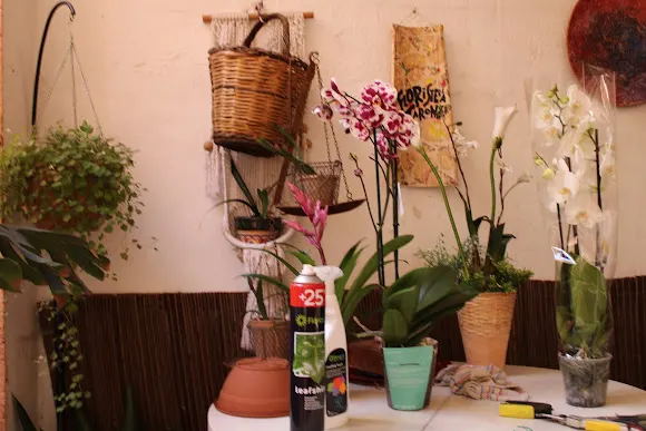 Floristeria Taronger