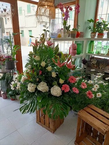 Flors i Cosetes - Floristería en Pollença