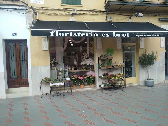 Floristeria Es Brot, Tienda