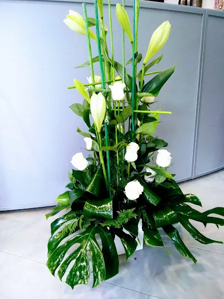 Nou art floristeria - Inca
