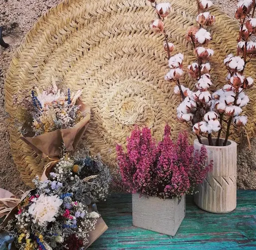 Floristeria Lita