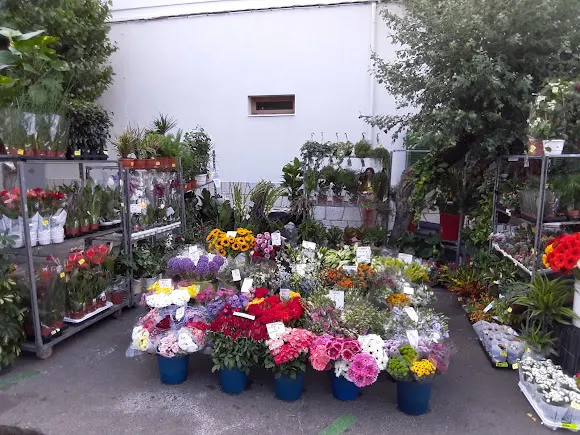 Florenia Flor Natural