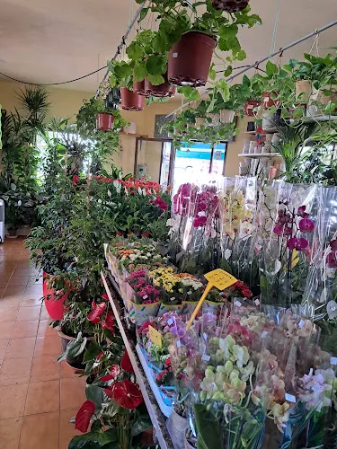 Jardinería y floristería Capó - Floristería en Santanyi