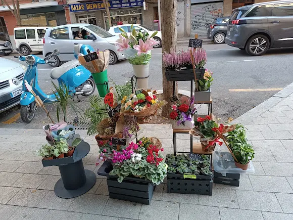 Green and go floristería