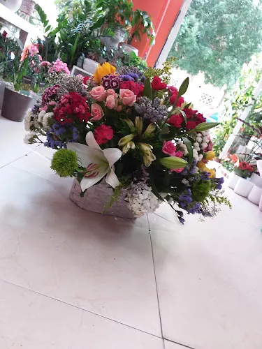Floristería Calaflors