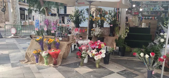 Flors Marga