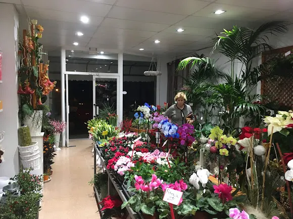 Floristeria CAN DAIFA