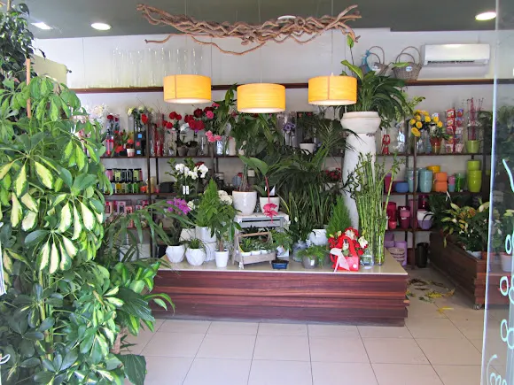 Eiviss Garden Floristería Ibiza