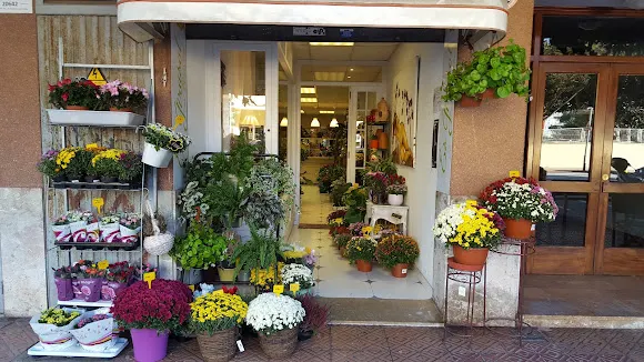 Es Girasol Floristería