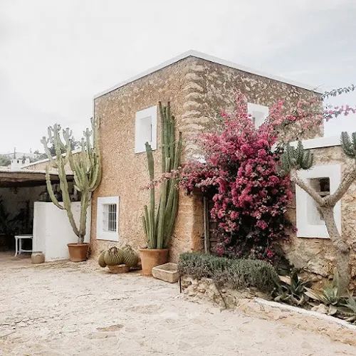 Cactus Ibiza. Vivero de Cactus y Suculentas ( Lombribiza ) - Sant Josep de sa Talaia