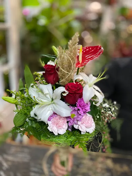 Floristería arco iris - Quesada