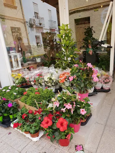 Floristería Marfran