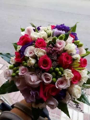 Floristería Jazmín - Torreperogil