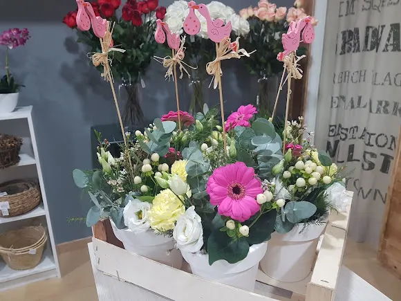 Floristería Olea
