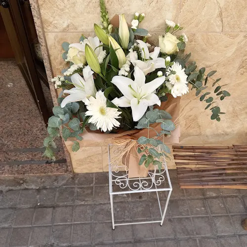 Floristeria sampe