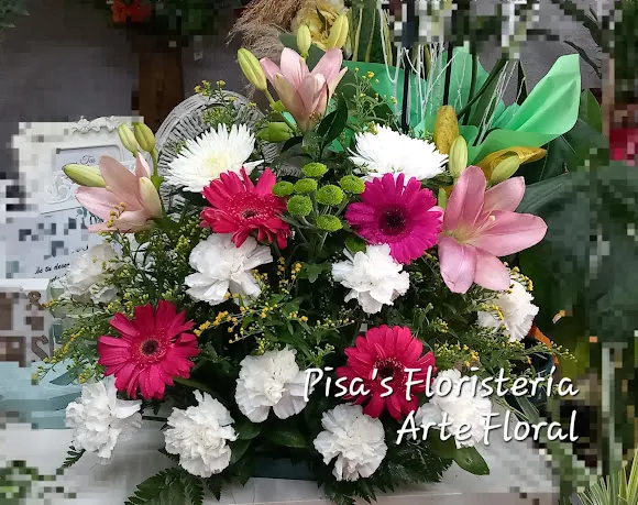 Floristería Pisa´s