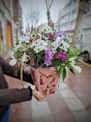 Decoflor Floristas La Carolina - Floristería en La Carolina