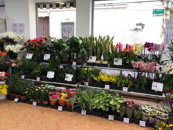 FLOWERING  í