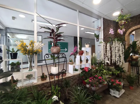 Floristería Aguilera