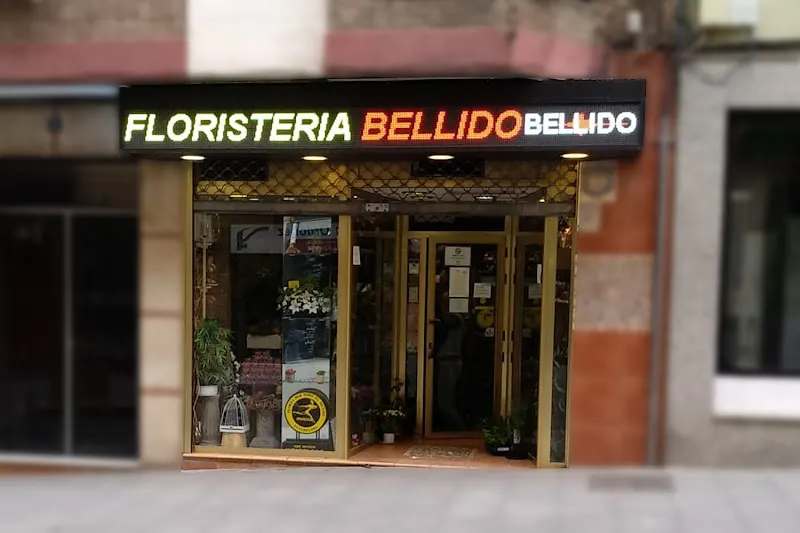 Floristeria Bellido - Jaén