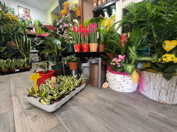 El Rincon Verde - Floristería en Úbeda