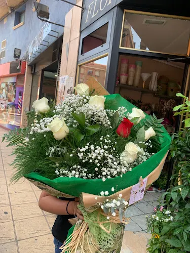 Floristería Rosi - Nájera