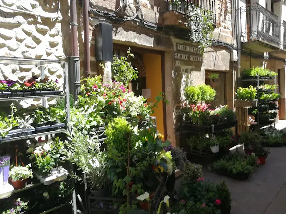 Floristeria Maria Teresa - Ezcaray