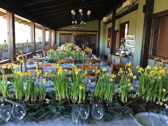 Floristería Mandragora | Especialistas en tocados de boda y coronas de comunión - Floristería en Pradejon