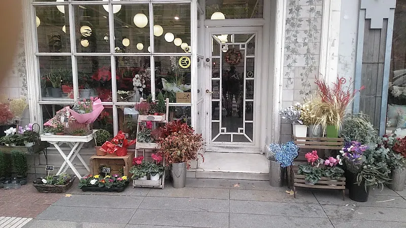 Floristería Camelia