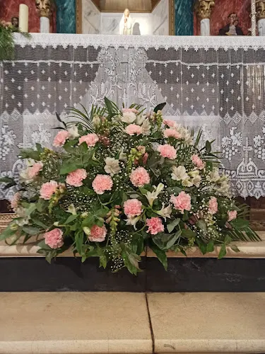 Las Flores De Eva - El Campillo