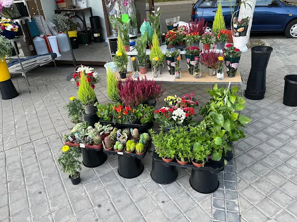 Floristeria la Joyita