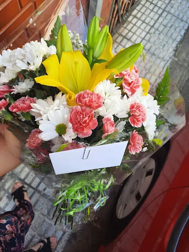 FLORISTERÍA LOS VEROLES