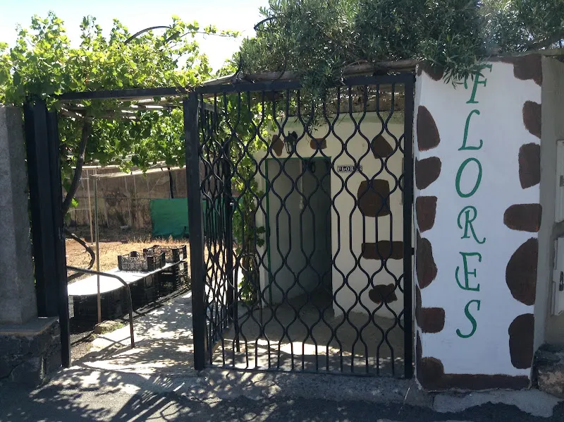 Floristería El Lagarto - Agüimes