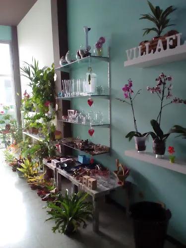 Floristería Villaflor