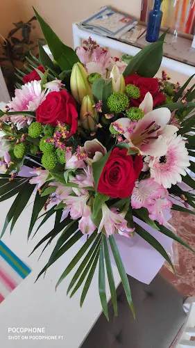 Flores y Plantas Elvi